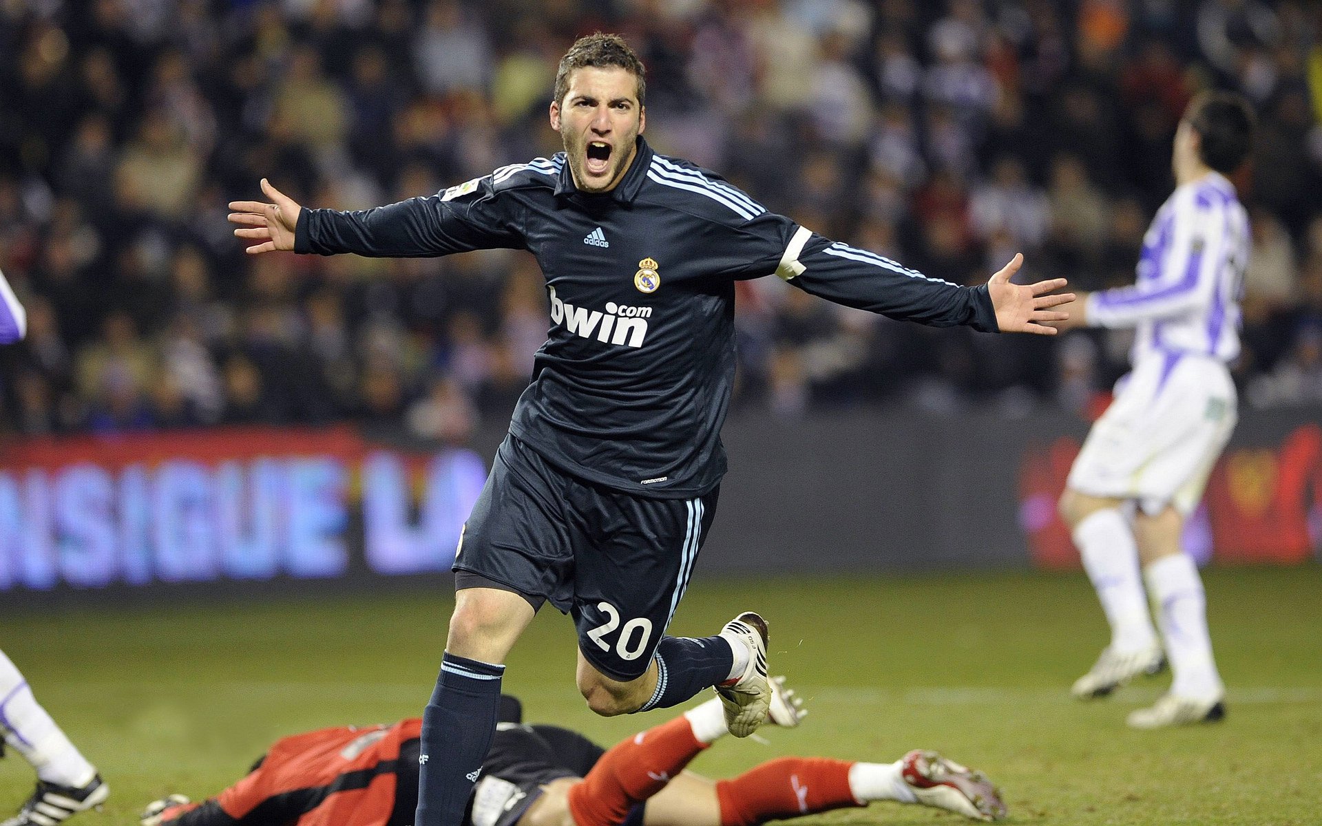 体育赛事年度观众趋势