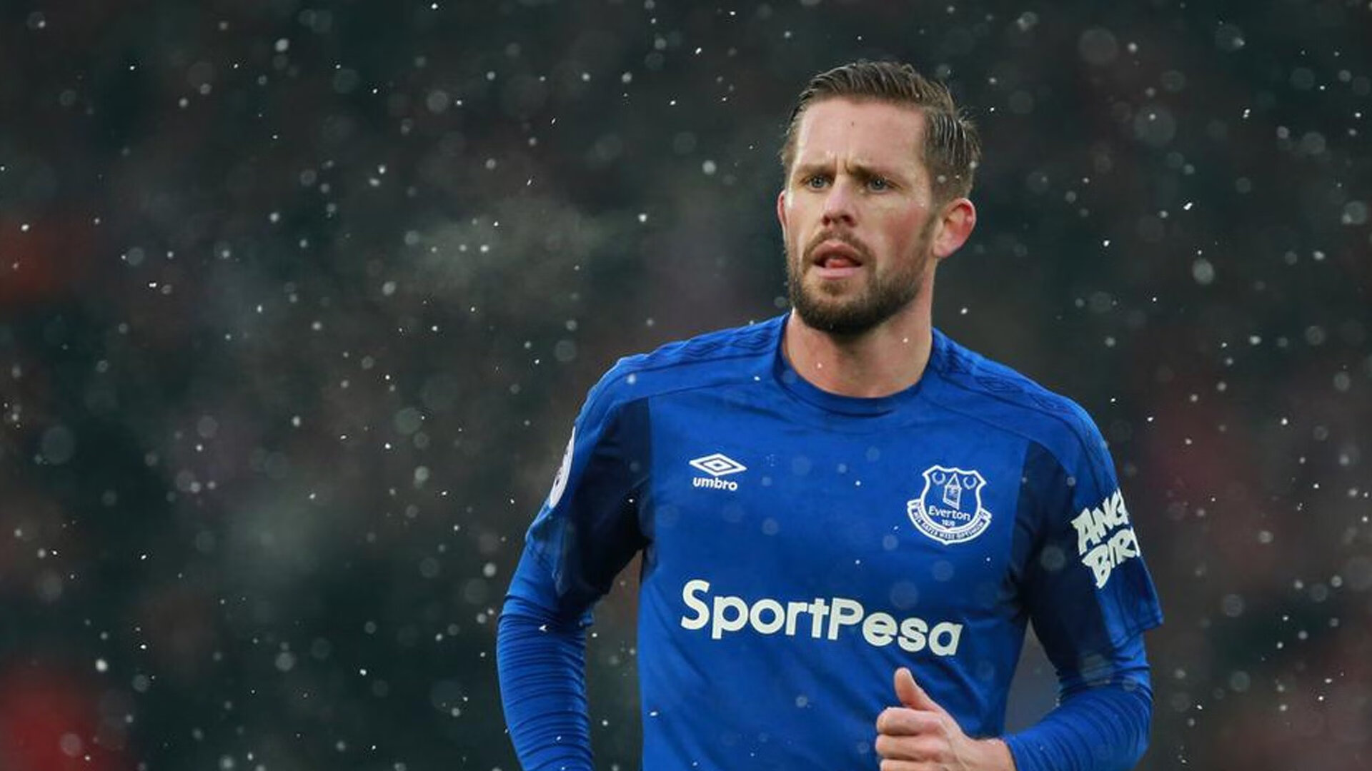 体育赛事年度观众趋势